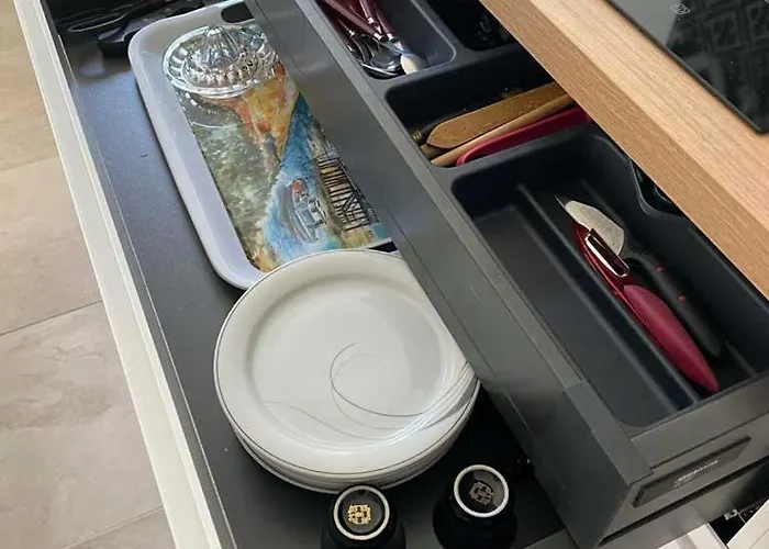 Nid Du Merle, * Pessac