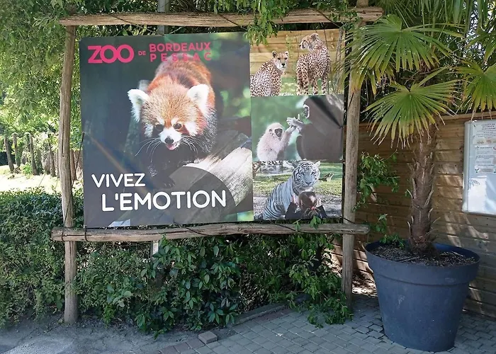 Nid Du Merle, Lejlighed Pessac